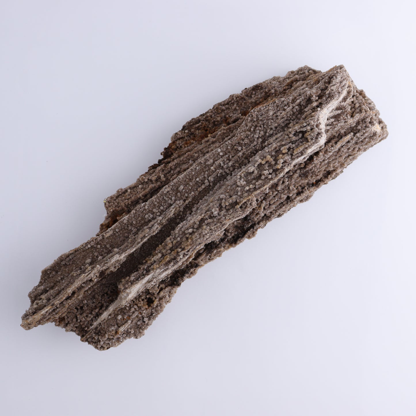 Petrified Wood Rough - Expert Wholesale and Supplier of Wholesale Crystals & Bulk Gemstones, ["Freeforms","Petrified Wood","Rough"]