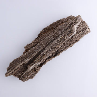 Petrified Wood Rough - Expert Wholesale and Supplier of Wholesale Crystals & Bulk Gemstones, ["Freeforms","Petrified Wood","Rough"]