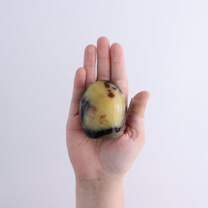 Septarian Freeforms Set of 12 - Expert Wholesale and Supplier of Wholesale Crystals & Bulk Gemstones, ["Flats","Freeforms","Madagascar","Septarian"]