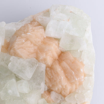 Large Apophyllite Cluster - Expert Wholesale and Supplier of Wholesale Crystals & Bulk Gemstones, ["Apophyllite","close_50","Clusters"]