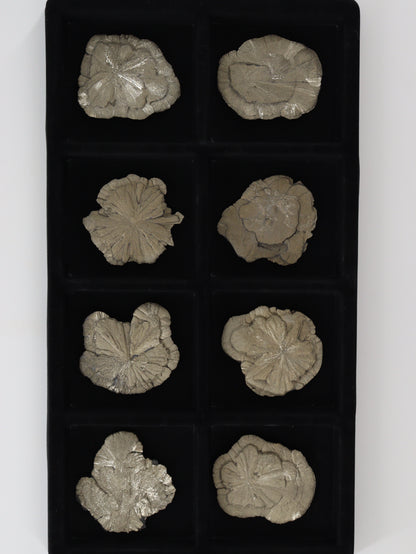 Pyrite Slices and Slabs Set of 8 - Expert Wholesale and Supplier of Wholesale Crystals & Bulk Gemstones, []