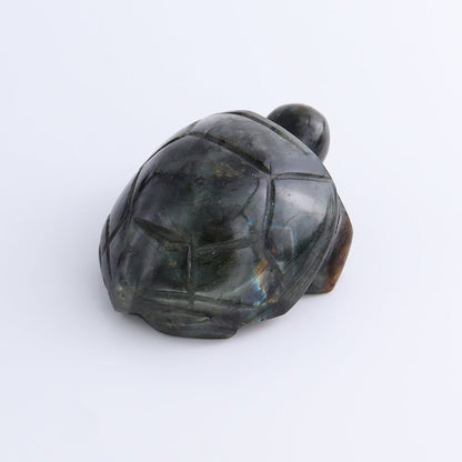 Labradorite Turtles Set of 5