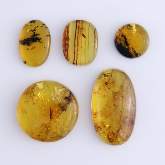 Chiapas Mexico Amber Cabs Set of 5 - Expert Wholesale and Supplier of Wholesale Crystals & Bulk Gemstones, ["Amber","Cabs","Chiapas Amber","Mexico"]