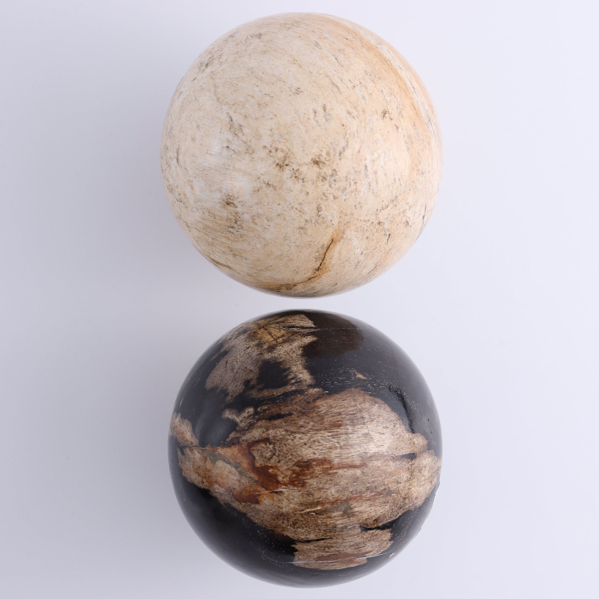 Petrified Wood Spheres Set of 4 - Expert Wholesale and Supplier of Wholesale Crystals & Bulk Gemstones, ["Indonesia","Petrified Wood","Spheres"]