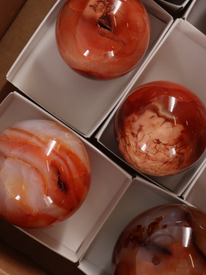 Carnelian Spheres Set of 10