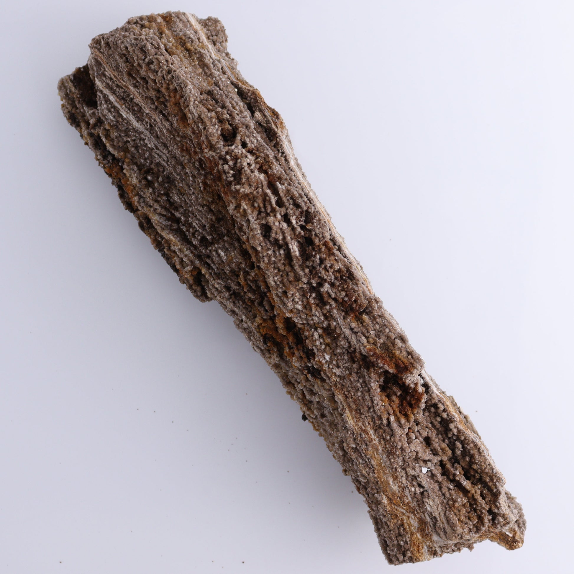 Petrified Wood Rough - Expert Wholesale and Supplier of Wholesale Crystals & Bulk Gemstones, ["Freeforms","Petrified Wood","Rough"]