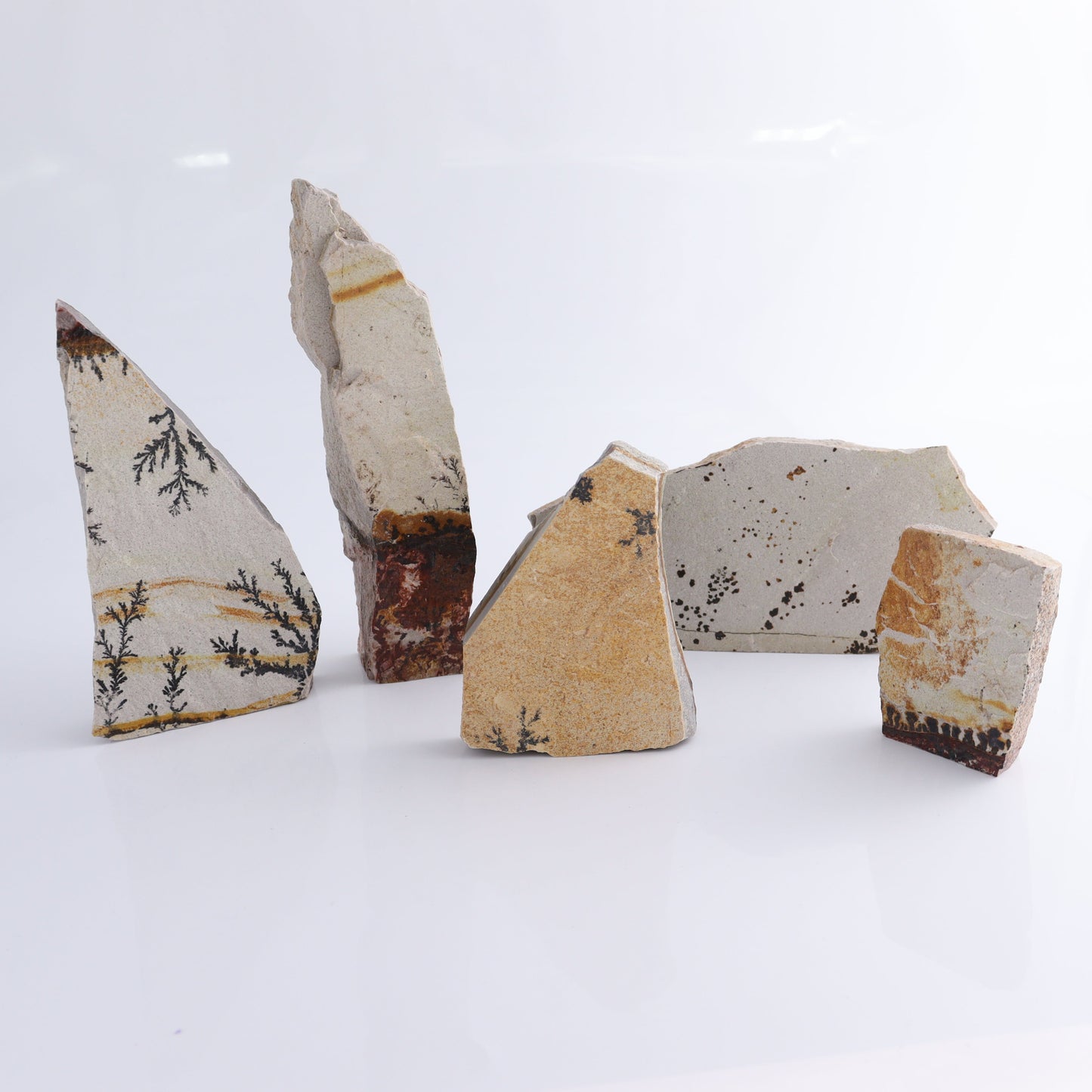 Dendrites Flat Set of 5 - Expert Wholesale and Supplier of Wholesale Crystals & Bulk Gemstones, ["Dendrite","Flats"]