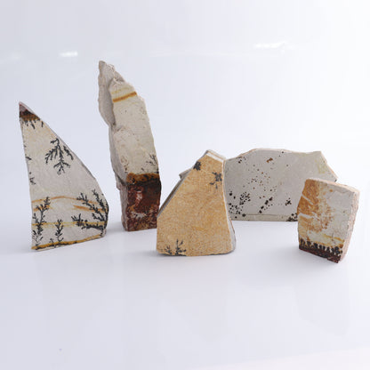 Dendrites Flat Set of 5 - Expert Wholesale and Supplier of Wholesale Crystals & Bulk Gemstones, ["Dendrite","Flats"]