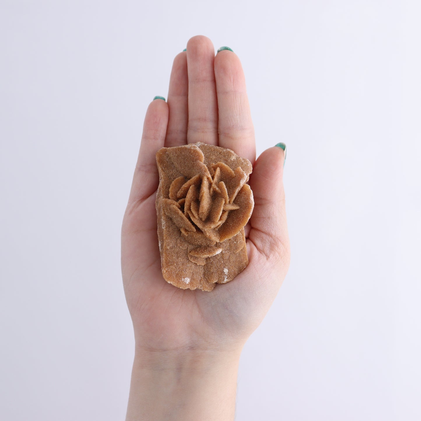 Desert Rose Set of 12 - Expert Wholesale and Supplier of Wholesale Crystals & Bulk Gemstones, ["Desert Rose","Freeforms","Morocco"]
