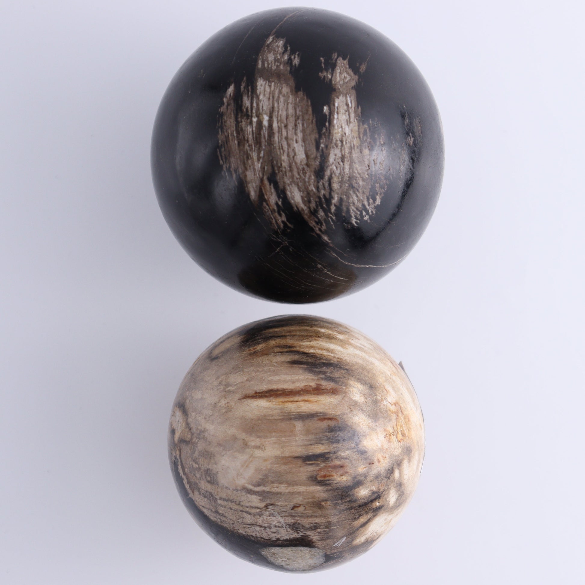 Petrified Wood Spheres Set of 4 - Expert Wholesale and Supplier of Wholesale Crystals & Bulk Gemstones, ["Indonesia","Petrified Wood","Spheres"]