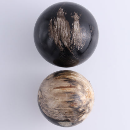 Petrified Wood Spheres Set of 4 - Expert Wholesale and Supplier of Wholesale Crystals & Bulk Gemstones, ["Indonesia","Petrified Wood","Spheres"]