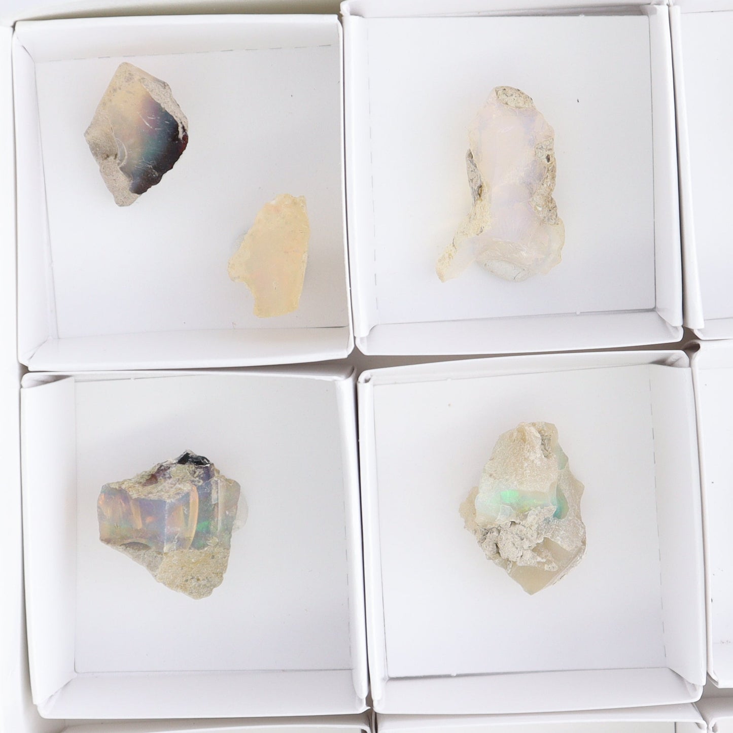 Ethiopian Opal Set of 10 - Expert Wholesale and Supplier of Wholesale Crystals & Bulk Gemstones, ["Ethiopia","ethiopian opal","Opal"]
