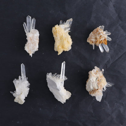Lemurian Clusters from Columbia Set of 6
