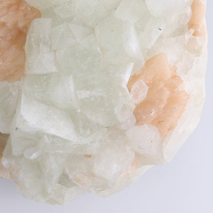 Large Apophyllite Cluster - Expert Wholesale and Supplier of Wholesale Crystals & Bulk Gemstones, ["Apophyllite","close_50","Clusters"]
