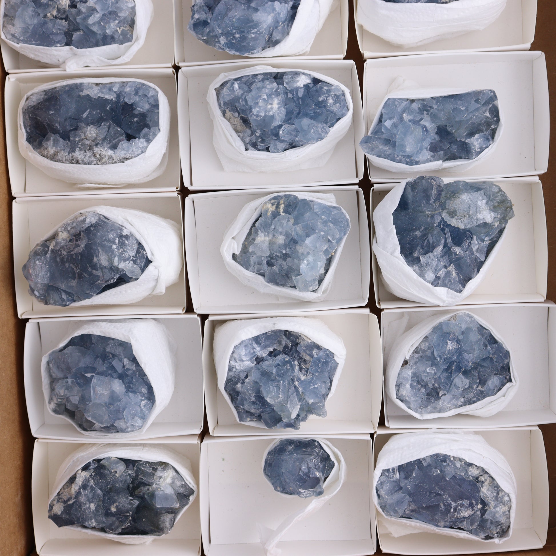 Celestite Clusters Set of 18 - Expert Wholesale and Supplier of Wholesale Crystals & Bulk Gemstones, ["Celestite","Clusters","Freeform"]