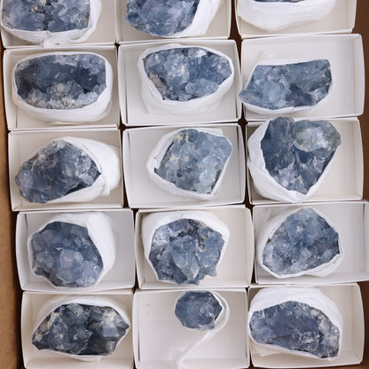 Celestite Clusters Set of 18 - Expert Wholesale and Supplier of Wholesale Crystals & Bulk Gemstones, ["Celestite","Clusters","Freeform"]