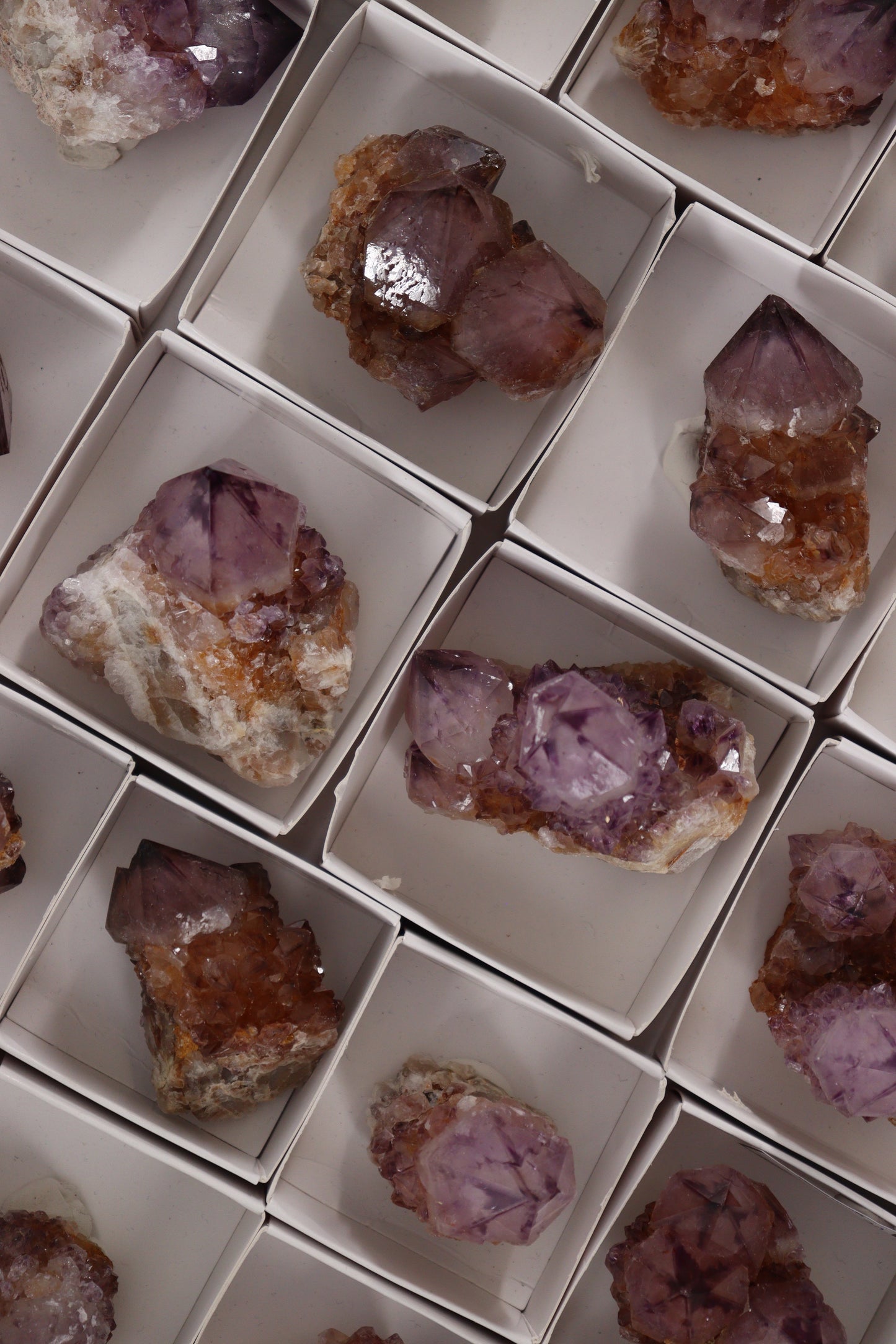 Cactus Quartz Flat - Expert Supplier of Wholesale Crystals & Bulk Gemstones