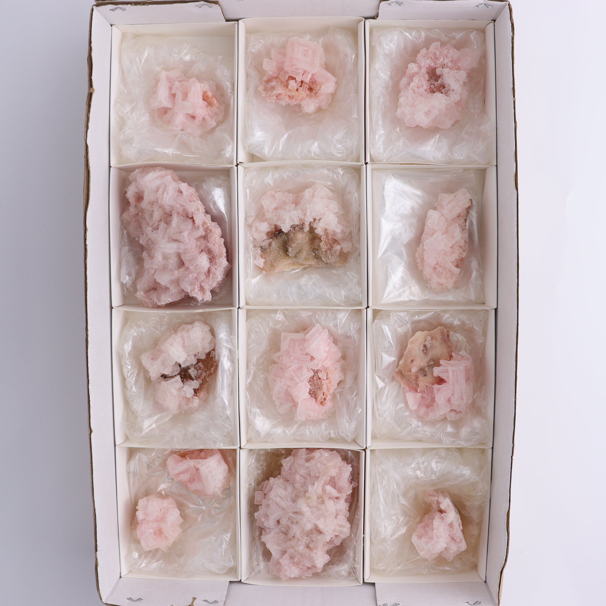 Searles Lake Pink Halite Flat of 13 - Expert Wholesale and Supplier of Wholesale Crystals & Bulk Gemstones, ["Flats","Halite","Pink Halite","United States"]