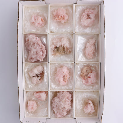 Searles Lake Pink Halite Flat of 13 - Expert Wholesale and Supplier of Wholesale Crystals & Bulk Gemstones, ["Flats","Halite","Pink Halite","United States"]