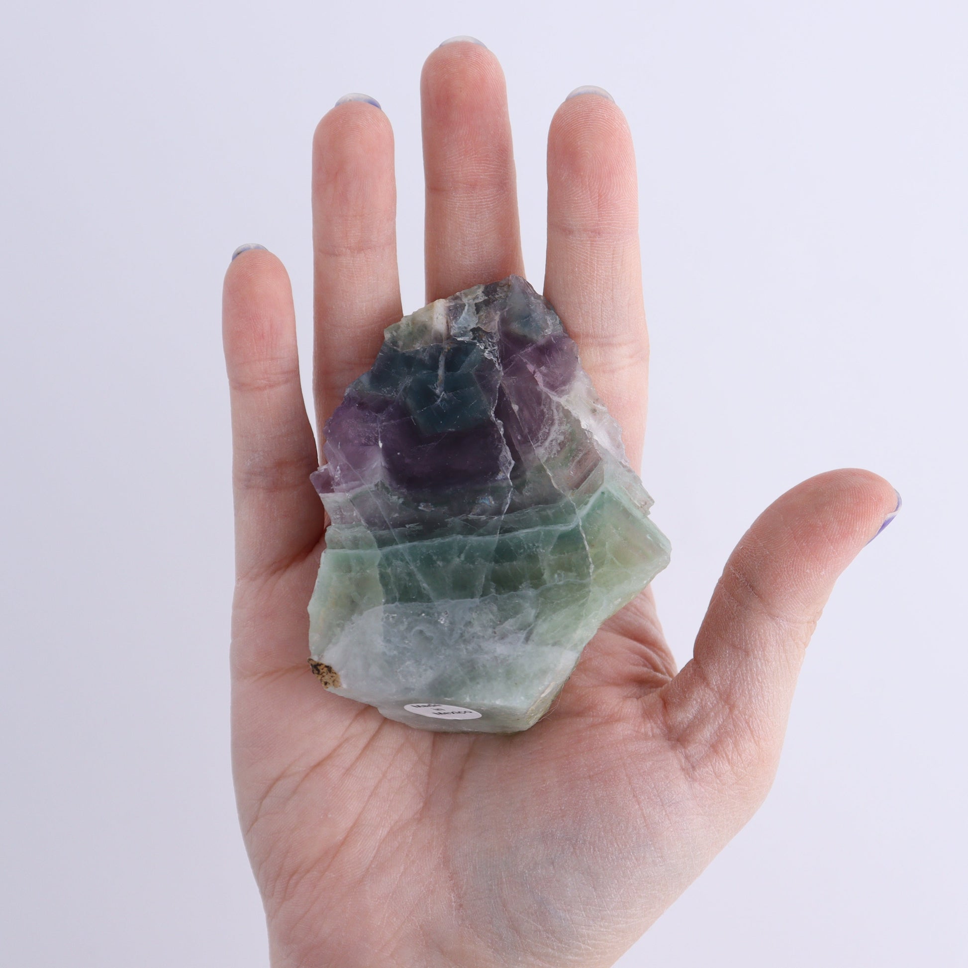 Fluorite Face Polished Set of 5 - Expert Wholesale and Supplier of Wholesale Crystals & Bulk Gemstones, ["Face Polished","Fluorite","Mexico"]