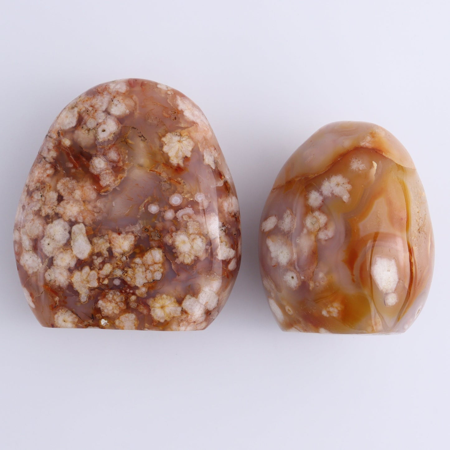 Flower Agate Freeforms Set of 6 - Expert Wholesale and Supplier of Wholesale Crystals & Bulk Gemstones, ["Flower Agate","Freeforms","Madagascar"]