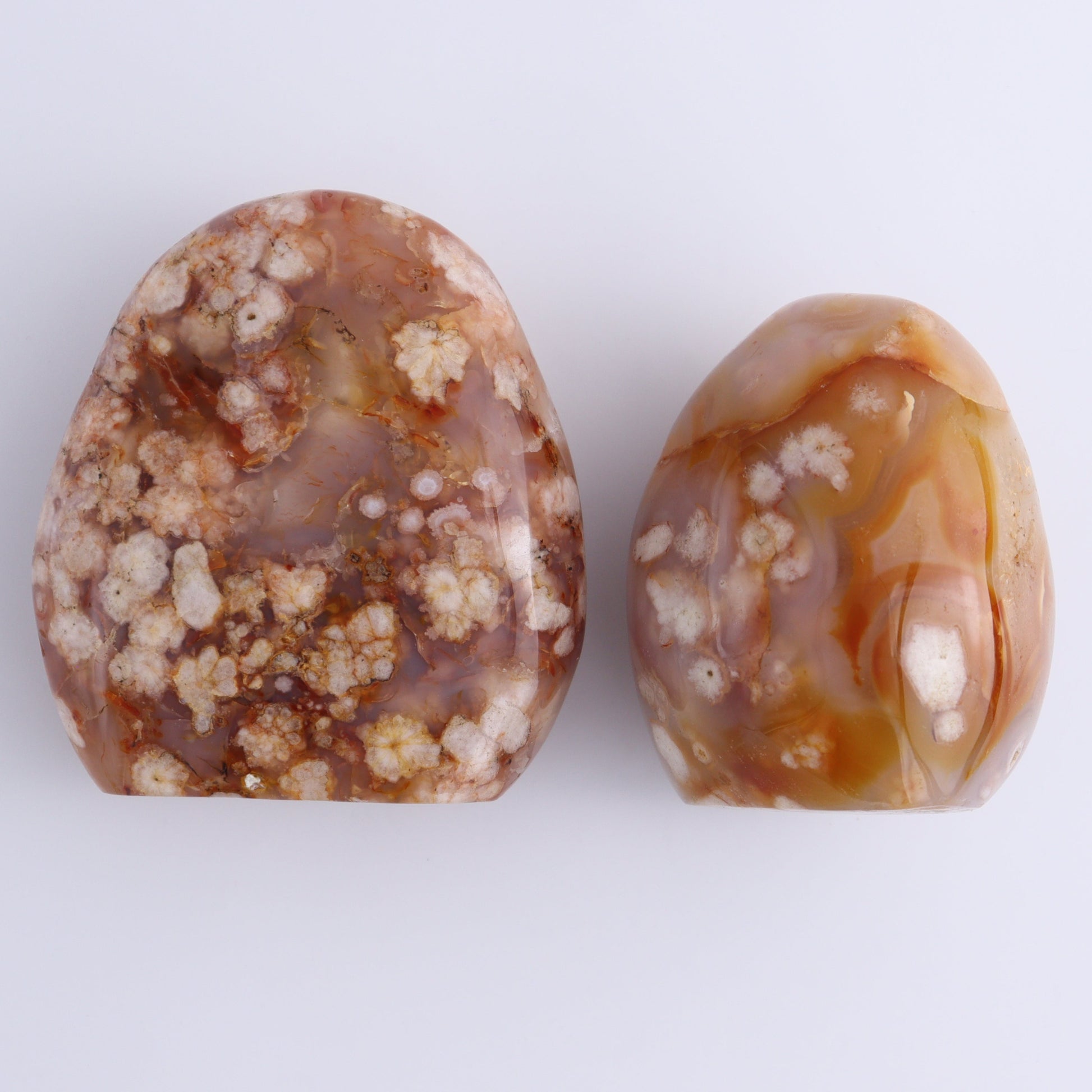 Flower Agate Freeforms Set of 6 - Expert Wholesale and Supplier of Wholesale Crystals & Bulk Gemstones, ["Flower Agate","Freeforms","Madagascar"]