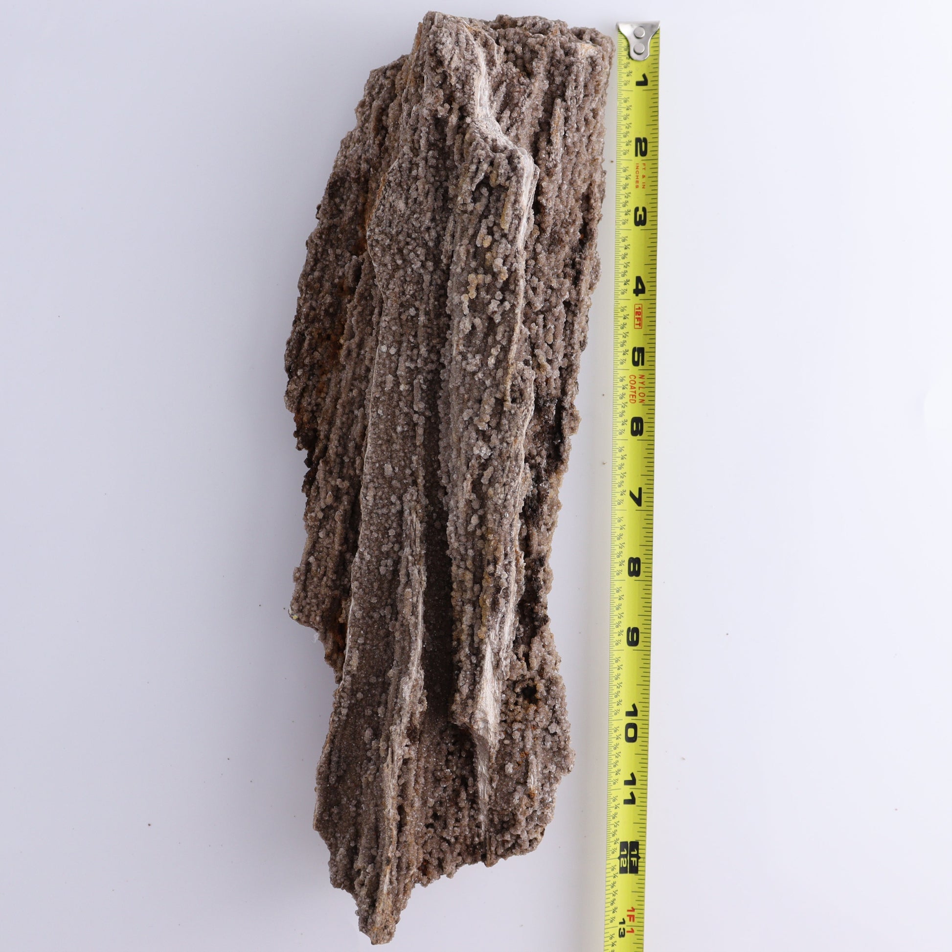 Petrified Wood Rough - Expert Wholesale and Supplier of Wholesale Crystals & Bulk Gemstones, ["Freeforms","Petrified Wood","Rough"]