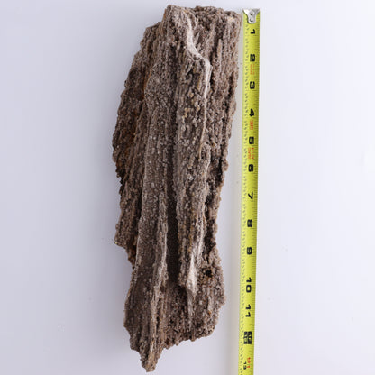 Petrified Wood Rough - Expert Wholesale and Supplier of Wholesale Crystals & Bulk Gemstones, ["Freeforms","Petrified Wood","Rough"]