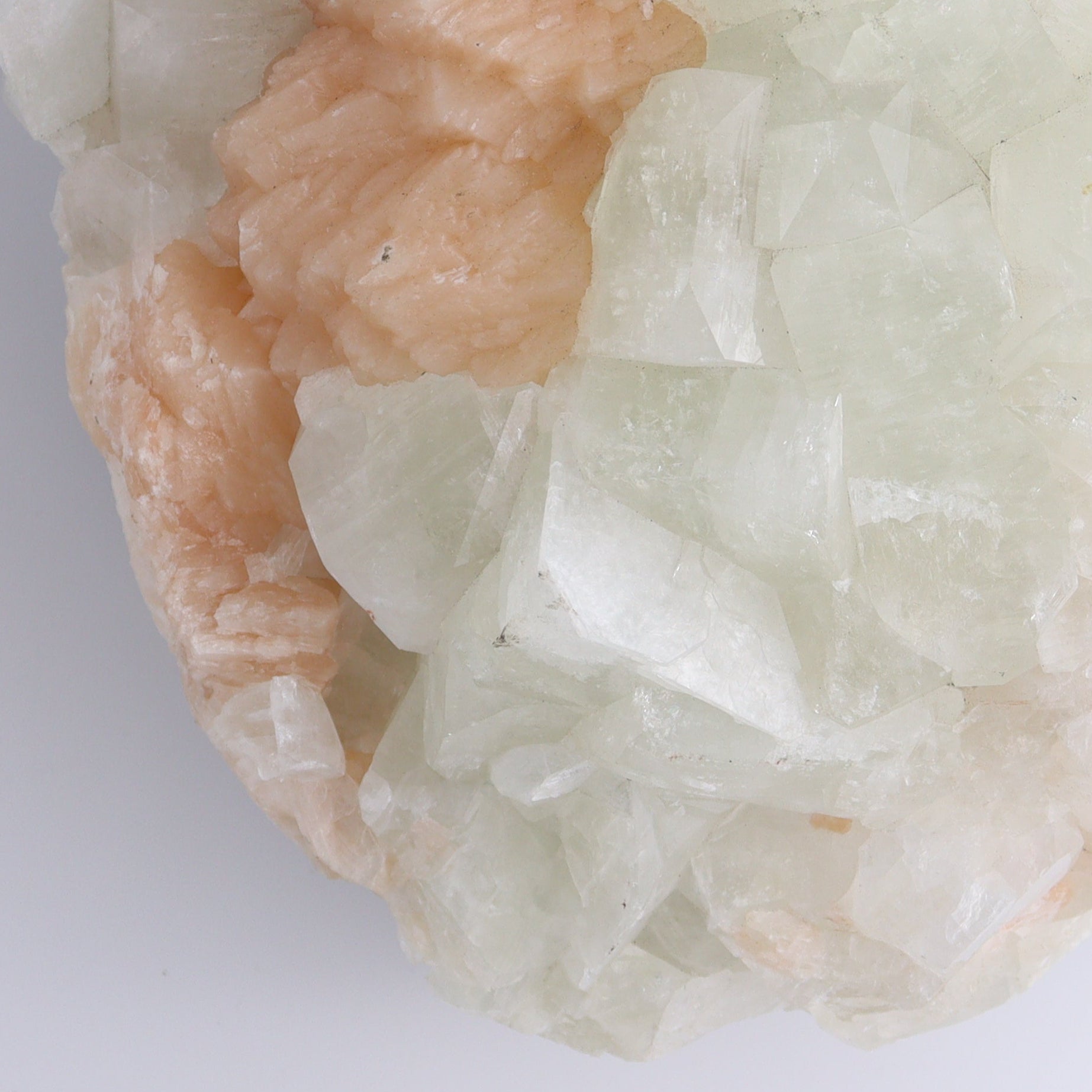 Large Apophyllite Cluster - Expert Wholesale and Supplier of Wholesale Crystals & Bulk Gemstones, ["Apophyllite","close_50","Clusters"]