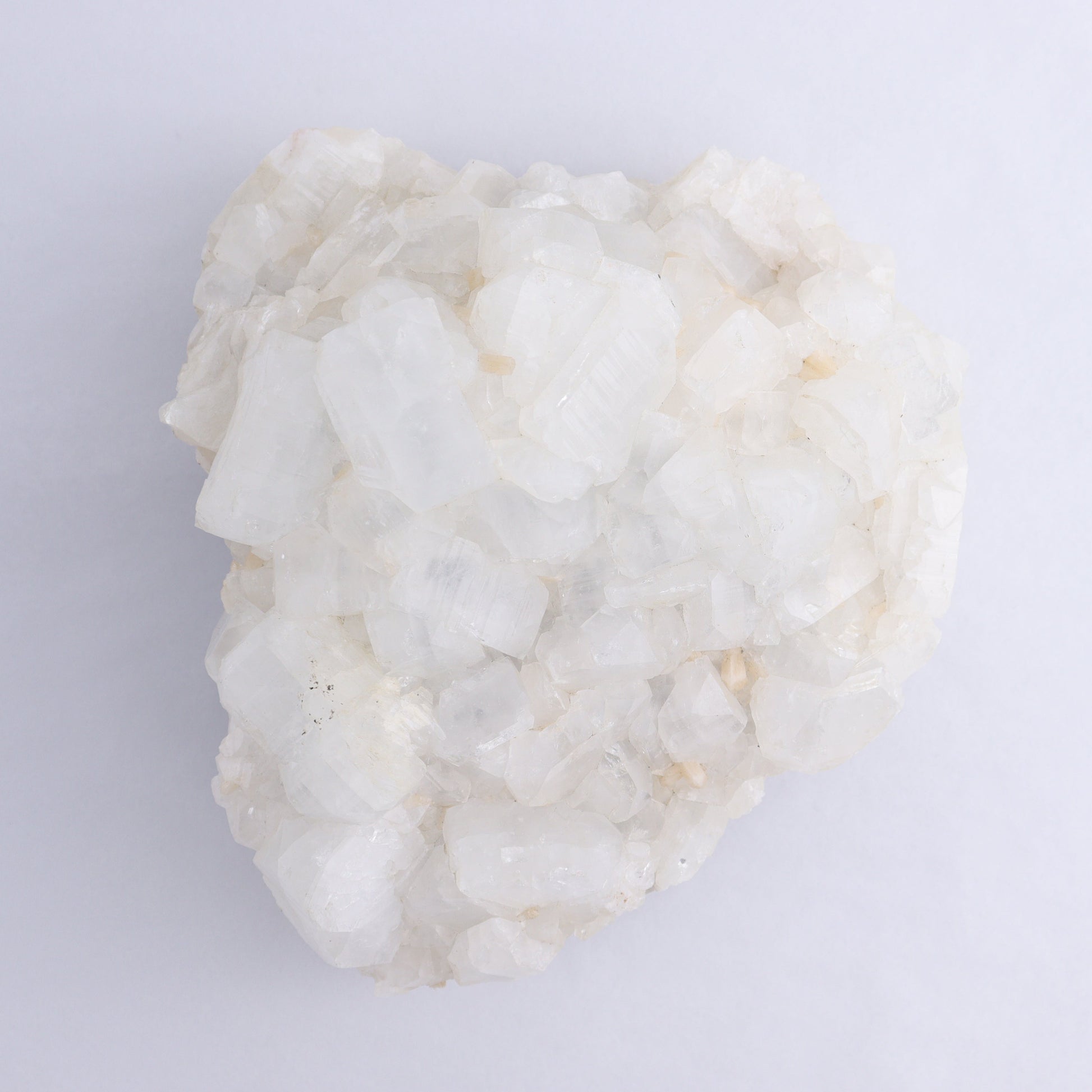 Apophyllite Cluster - Expert Wholesale and Supplier of Wholesale Crystals & Bulk Gemstones, ["Apophyllite","Clusters"]