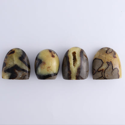Septarian Freeforms Set of 12 - Expert Wholesale and Supplier of Wholesale Crystals & Bulk Gemstones, ["Flats","Freeforms","Madagascar","Septarian"]