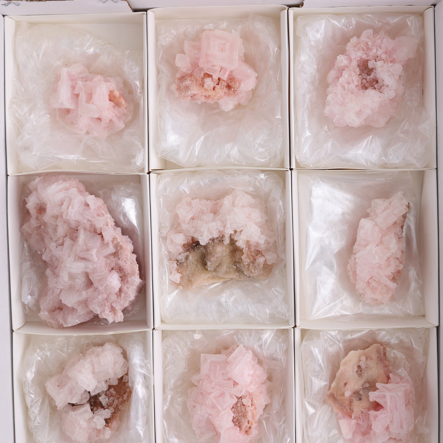 Searles Lake Pink Halite Flat of 13 - Expert Wholesale and Supplier of Wholesale Crystals & Bulk Gemstones, ["Flats","Halite","Pink Halite","United States"]