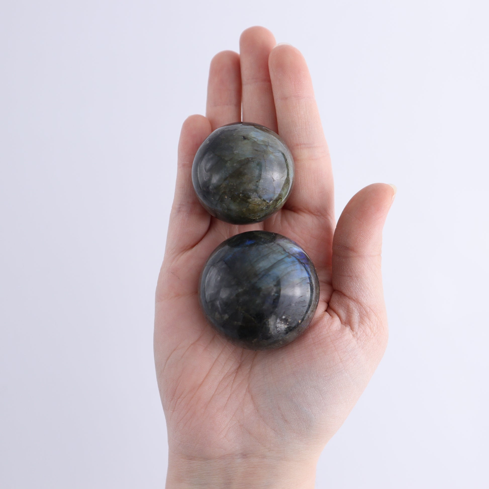 Labradorite Spheres Flat of 24 - Expert Wholesale and Supplier of Wholesale Crystals & Bulk Gemstones, ["Labradorite","Madagascar","Spheres"]