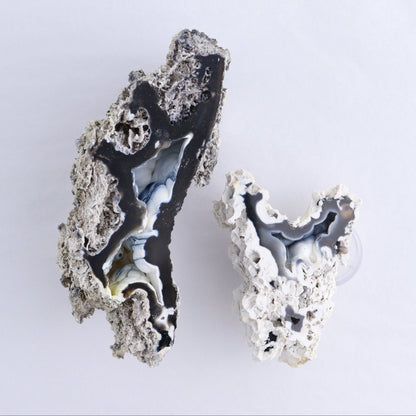 Agatized Coral Flat - Expert Wholesale and Supplier of Wholesale Crystals & Bulk Gemstones, ["Agate","Agatized Coral","Coral","United States"]