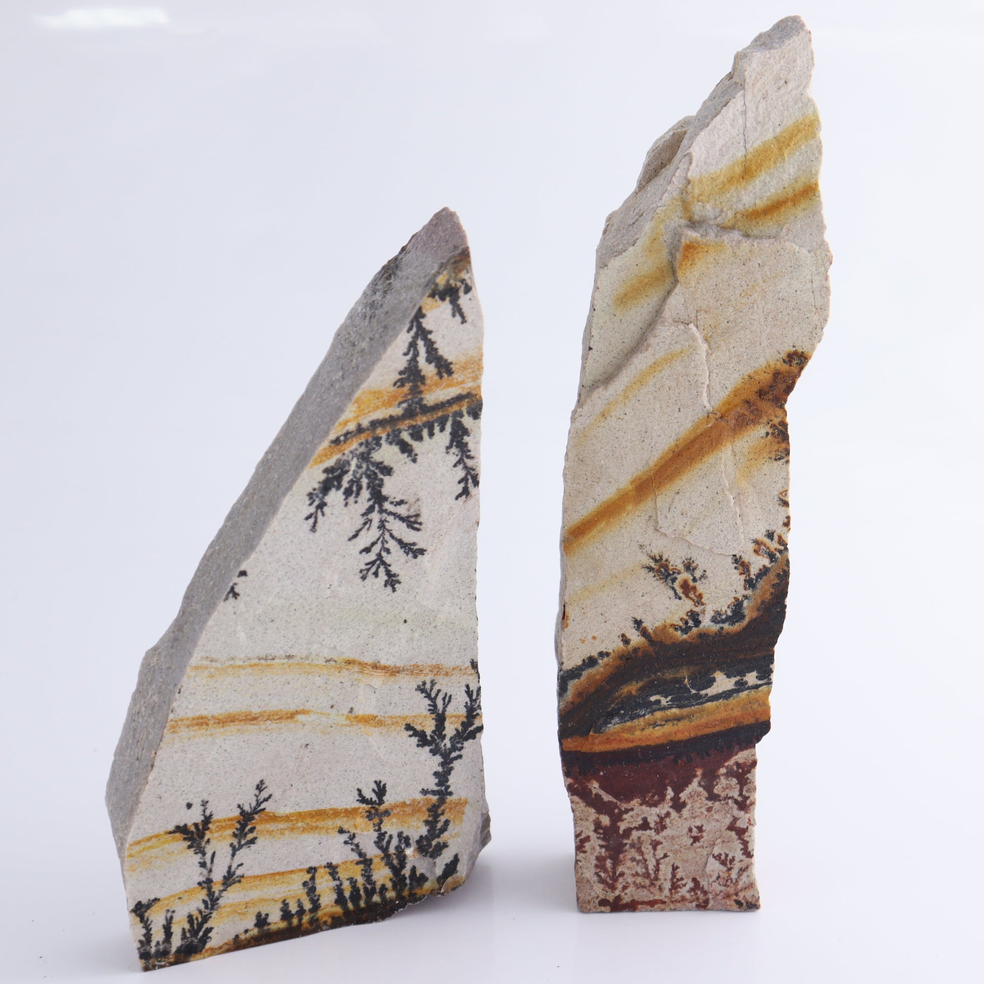 Dendrites Flat Set of 5 - Expert Wholesale and Supplier of Wholesale Crystals & Bulk Gemstones, ["Dendrite","Flats"]