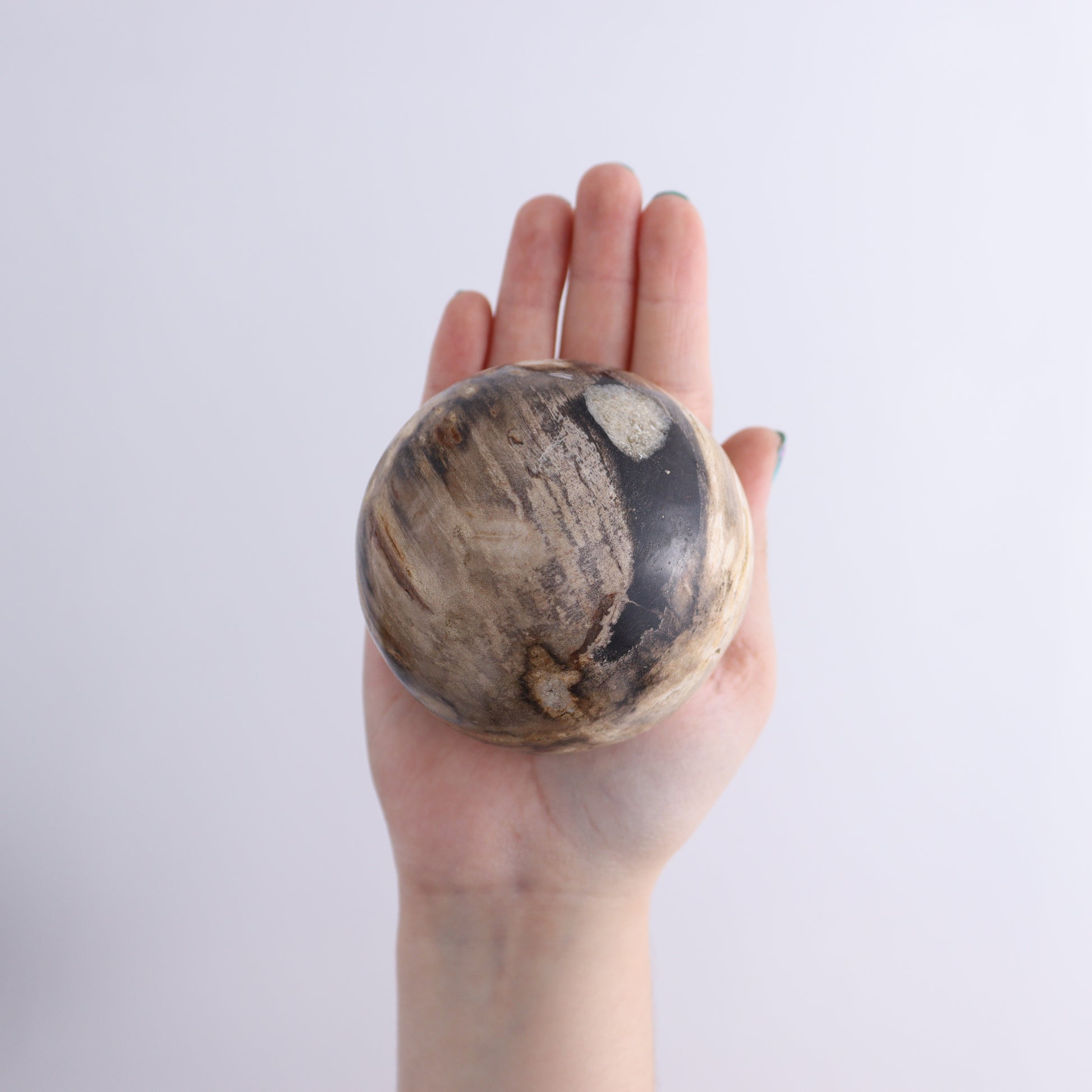 Petrified Wood Spheres Set of 4 - Expert Wholesale and Supplier of Wholesale Crystals & Bulk Gemstones, ["Indonesia","Petrified Wood","Spheres"]