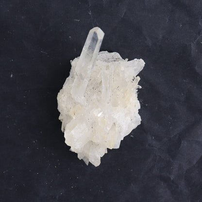 Lemurian Clusters from Columbia Set of 6
