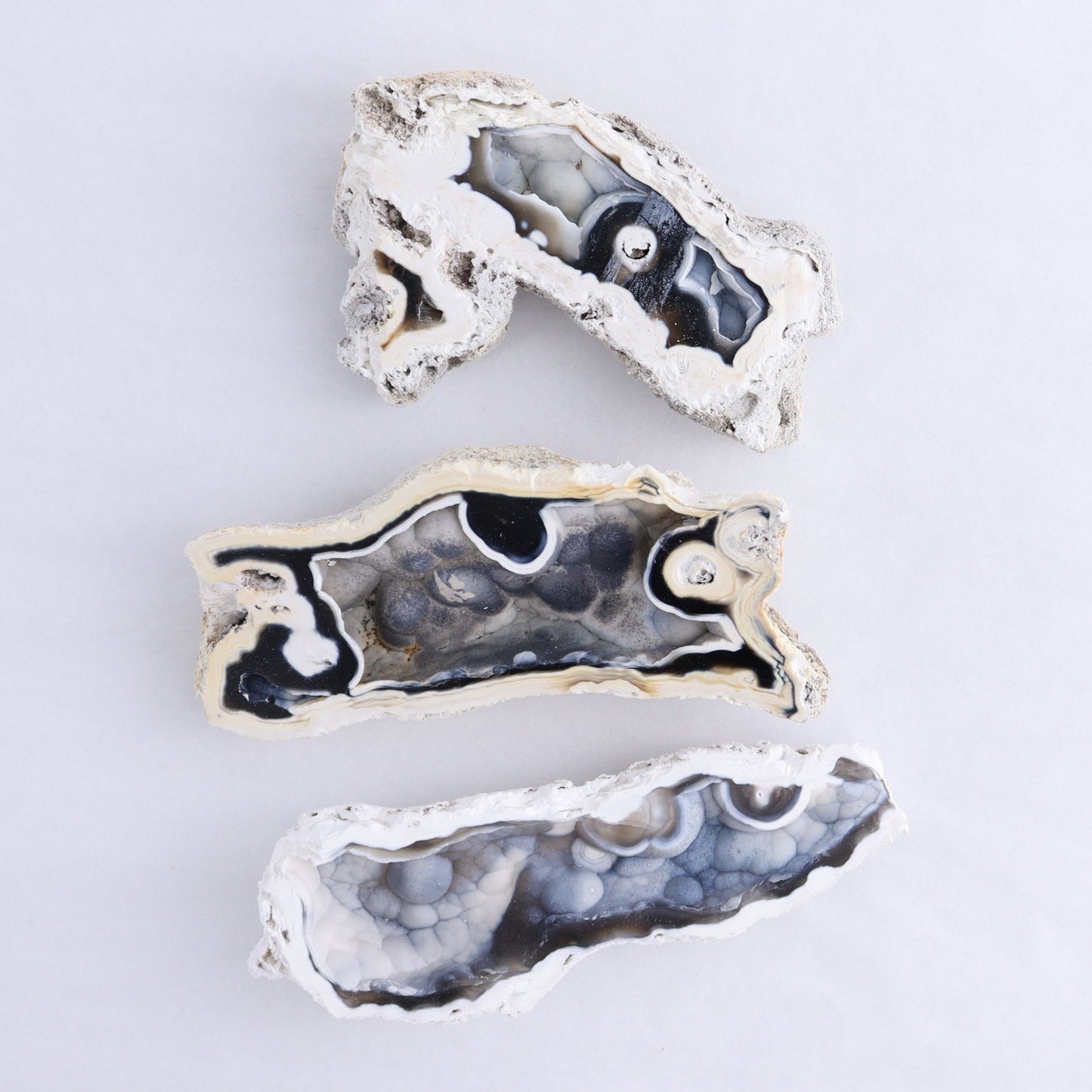 Agatized Coral Flat - Expert Wholesale and Supplier of Wholesale Crystals & Bulk Gemstones, ["Agate","Agatized Coral","Coral","United States"]