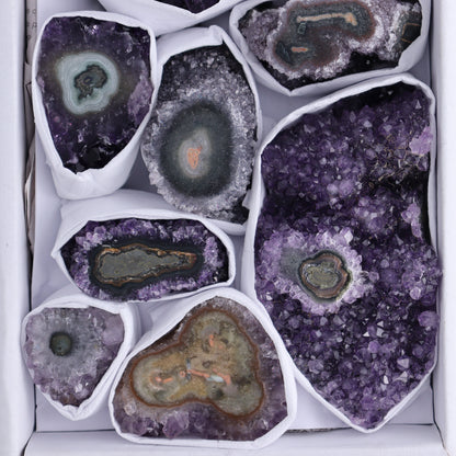 Uruguay Amethyst Clusters with "Eyes" Flat of 9 - Expert Wholesale and Supplier of Wholesale Crystals & Bulk Gemstones, ["Amethyst","Clusters","Eyes Amethyst","Uruguay"]