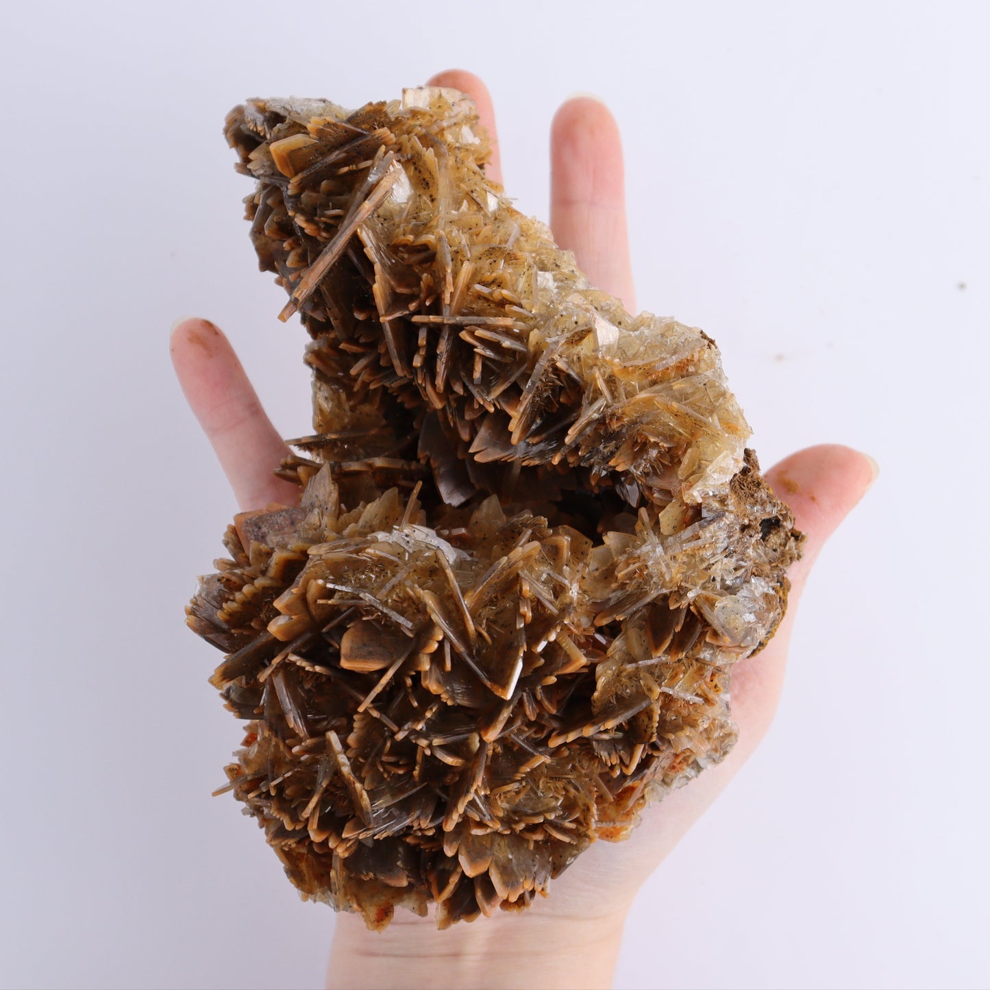 Barite Flat from Morocco - Expert Wholesale and Supplier of Wholesale Crystals & Bulk Gemstones, ["Barite","Flats","Morocco"]