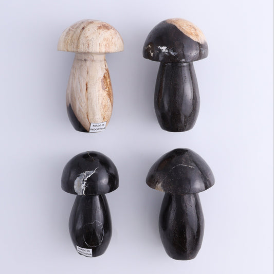 Petrified Wood Mushrooms Set of 4