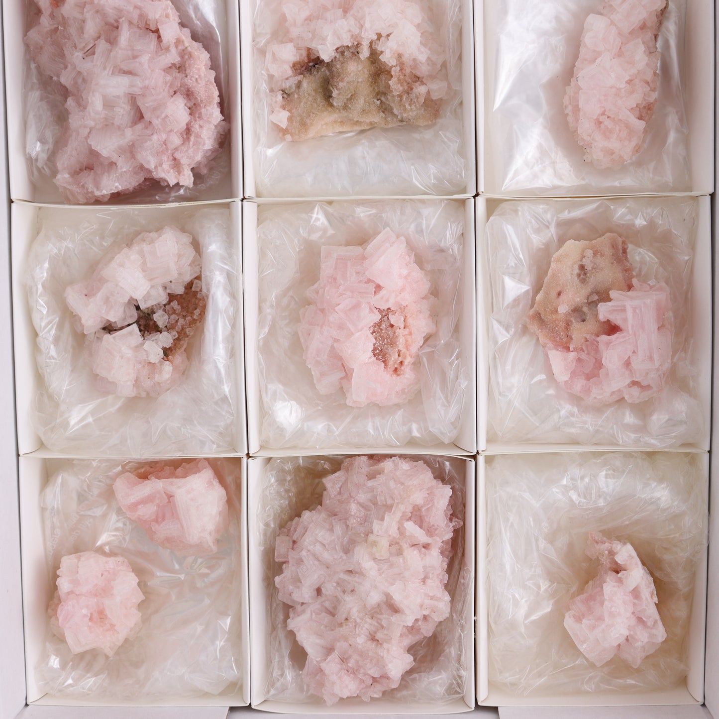 Searles Lake Pink Halite Flat of 13 - Expert Wholesale and Supplier of Wholesale Crystals & Bulk Gemstones, ["Flats","Halite","Pink Halite","United States"]