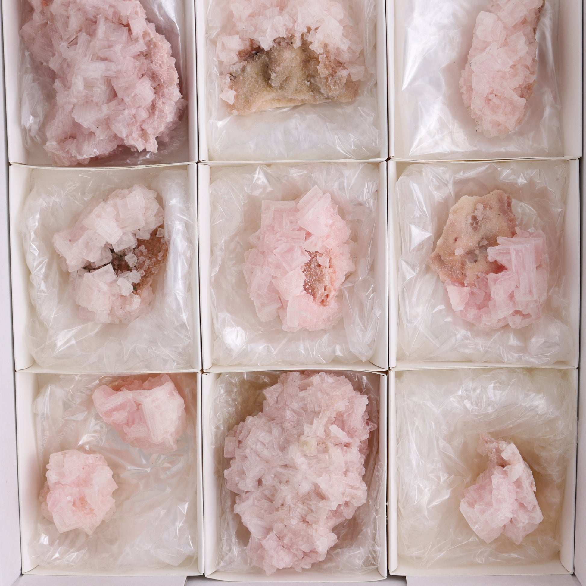 Searles Lake Pink Halite Flat of 13 - Expert Wholesale and Supplier of Wholesale Crystals & Bulk Gemstones, ["Flats","Halite","Pink Halite","United States"]