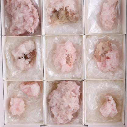 Searles Lake Pink Halite Flat of 13 - Expert Wholesale and Supplier of Wholesale Crystals & Bulk Gemstones, ["Flats","Halite","Pink Halite","United States"]