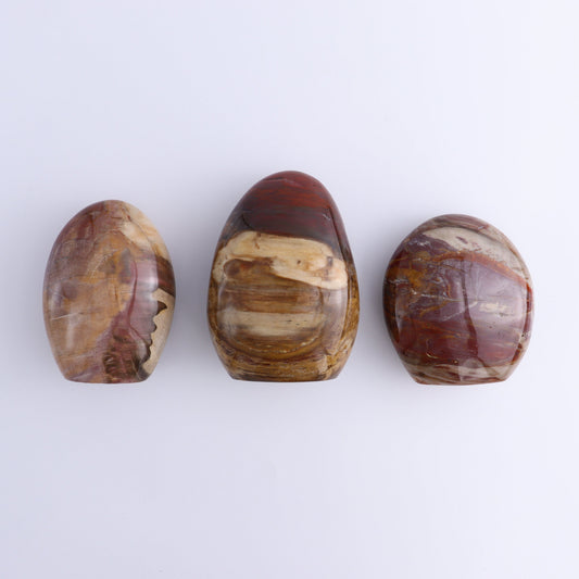 Petrified Wood Freeforms Set of 3 - Expert Wholesale and Supplier of Wholesale Crystals & Bulk Gemstones, ["Freeform","Freeforms","Madagascar","Petrified Wood"]