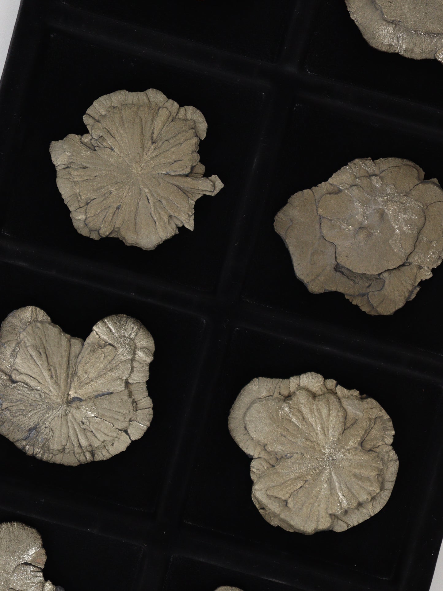 Pyrite Slices and Slabs Set of 8 - Expert Wholesale and Supplier of Wholesale Crystals & Bulk Gemstones, []