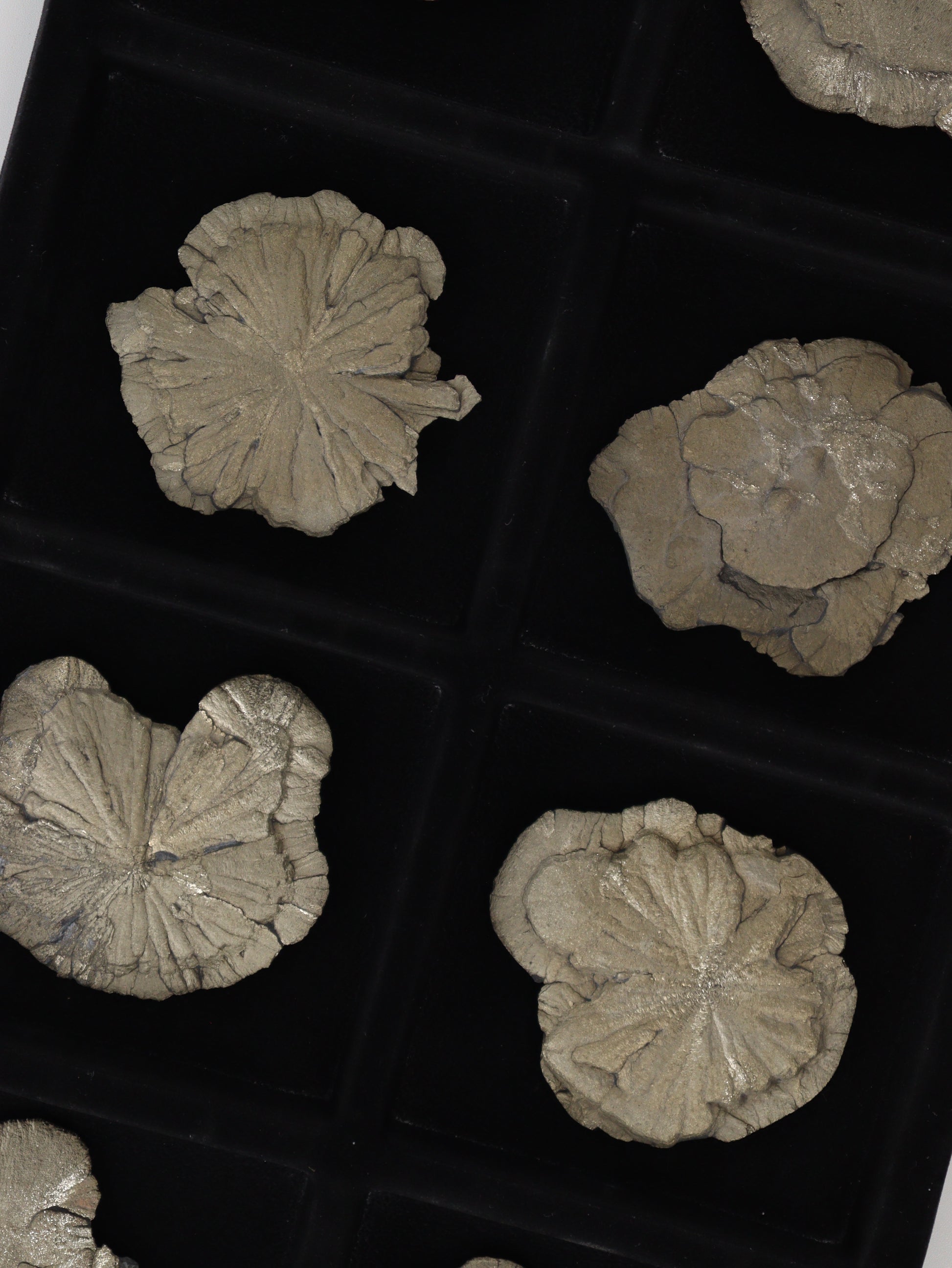 Pyrite Slices and Slabs Set of 8 - Expert Wholesale and Supplier of Wholesale Crystals & Bulk Gemstones, []