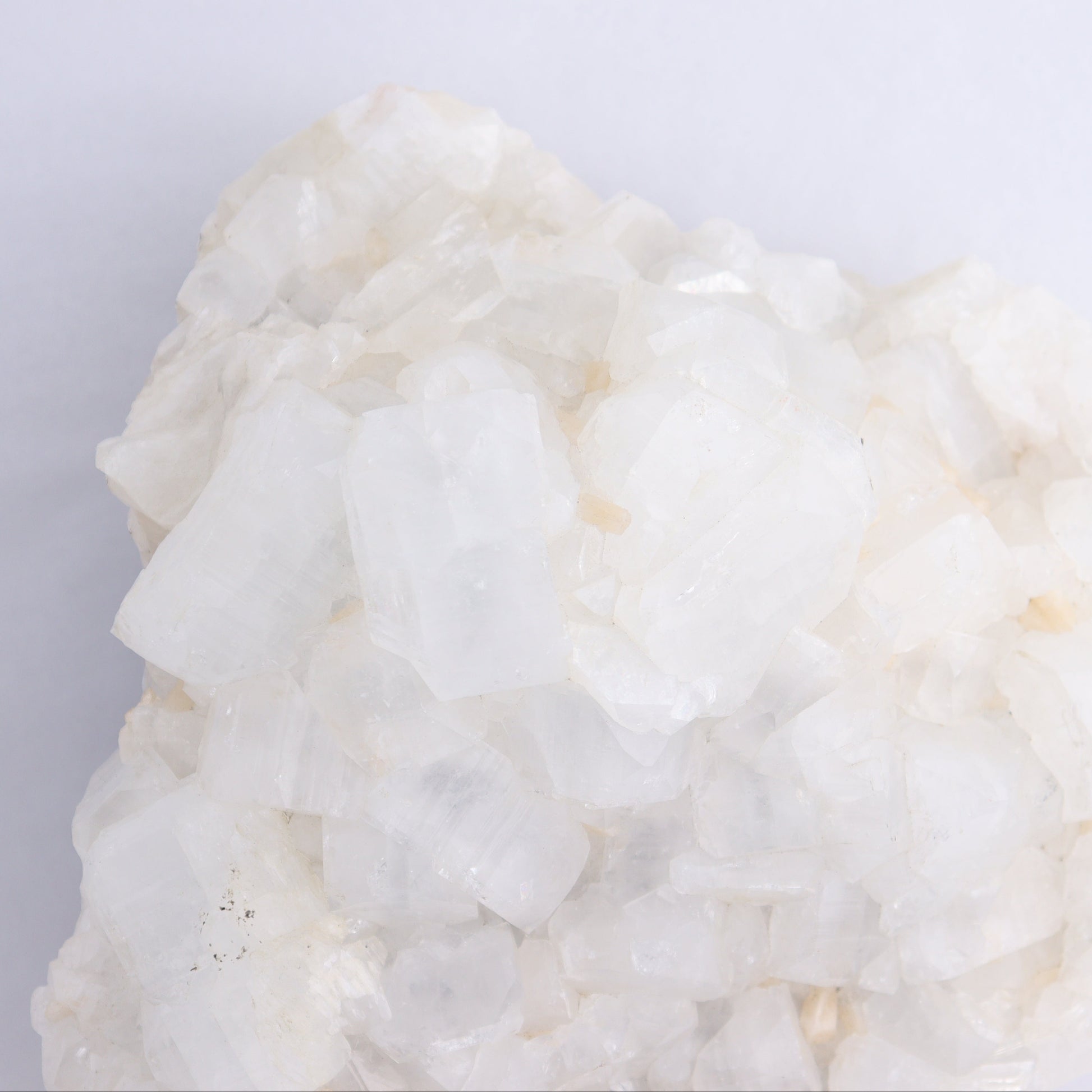Apophyllite Cluster - Expert Wholesale and Supplier of Wholesale Crystals & Bulk Gemstones, ["Apophyllite","Clusters"]