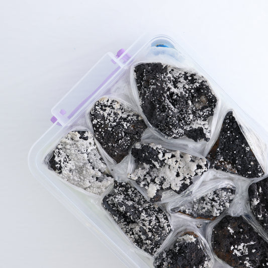 Goethite Flat from Morocco