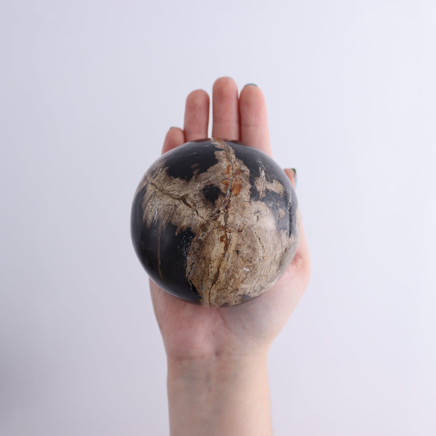 Petrified Wood Spheres Set of 4 - Expert Wholesale and Supplier of Wholesale Crystals & Bulk Gemstones, ["Indonesia","Petrified Wood","Spheres"]